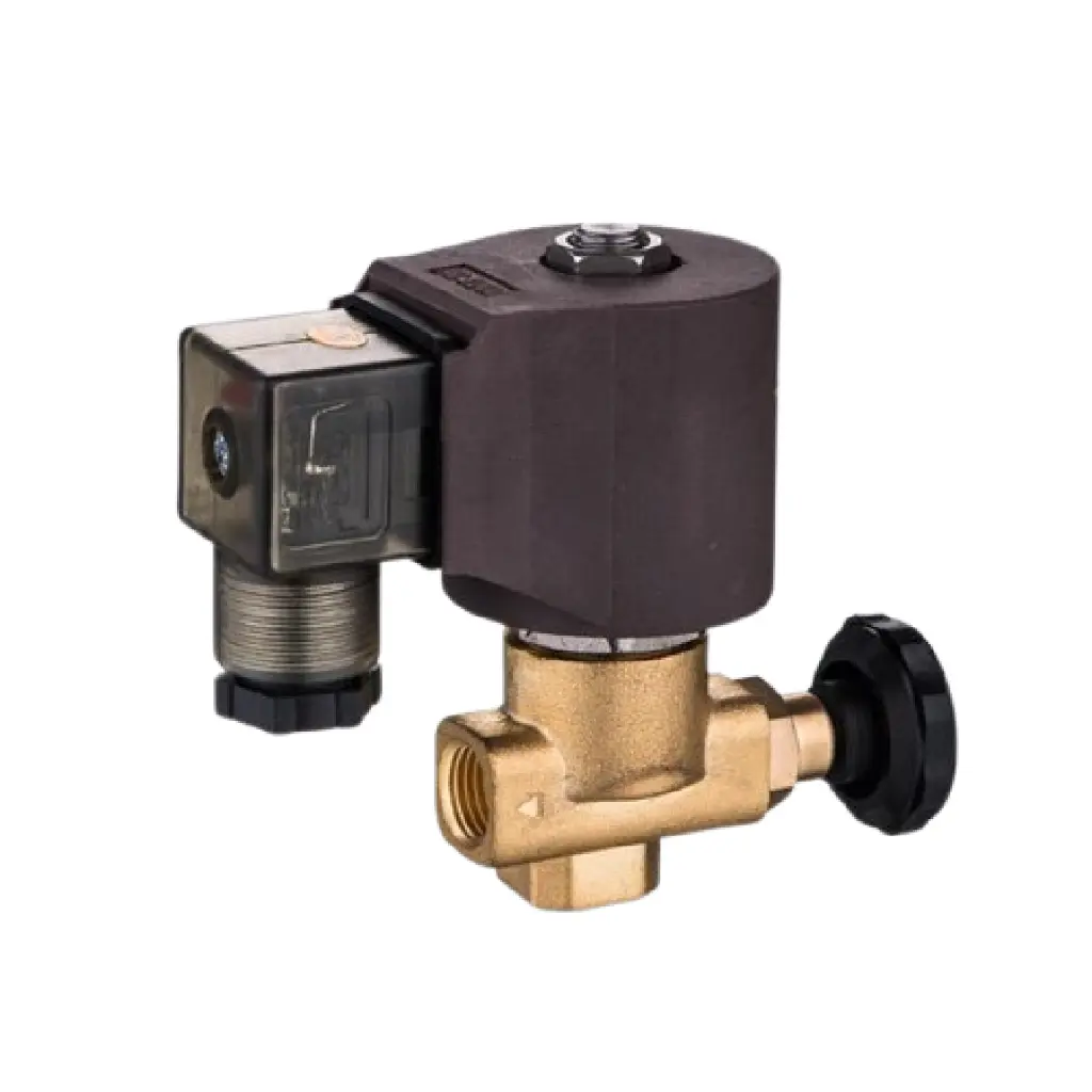 SLGPC 2/2 Brass Steam Solenoid Valve, 1/4" Port, Flow Control Type