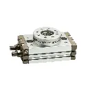 Pneumatic Rotary Table Cylinder 20x190°