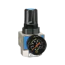 Pressure Regulator 1/2"