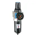 Filter Pressure Regulator 1/2", W/Auto Drain