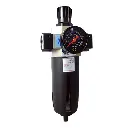 Filter Pressure Regulator 1", W/Auto Drain